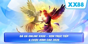 Đá Gà Online – Trải Nghiệm Giải Trí Kịch Tính Và Uy Tín Tại XX88